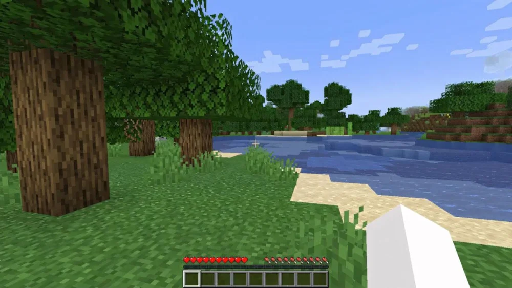 Góc nhìn thứ nhất Minecraft hiển thị bàn tay nhân vật