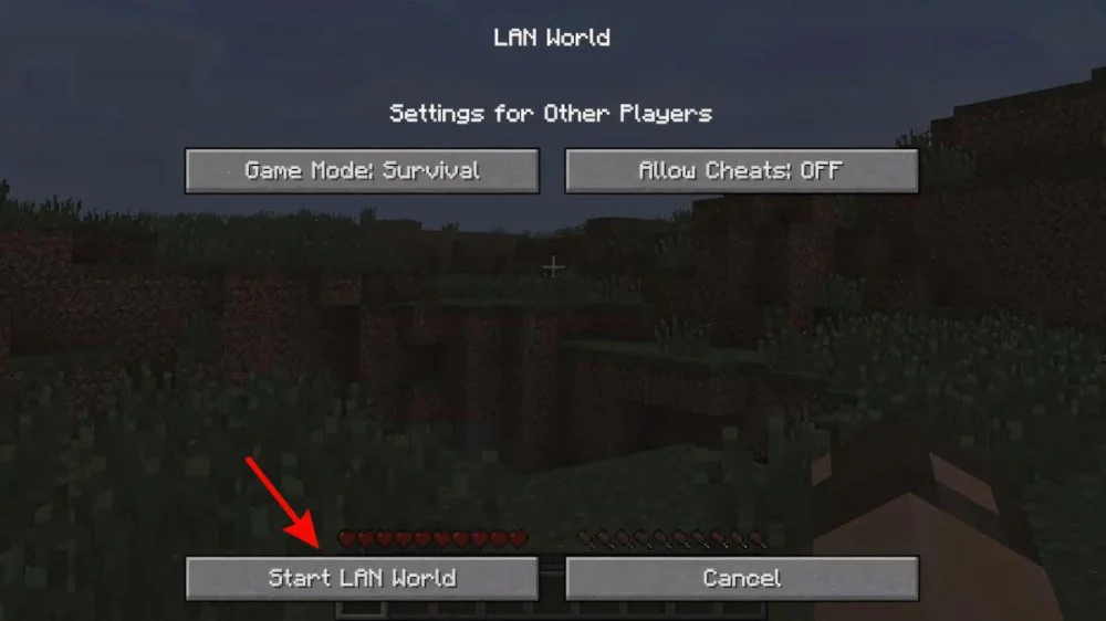 Single Player > Create New World