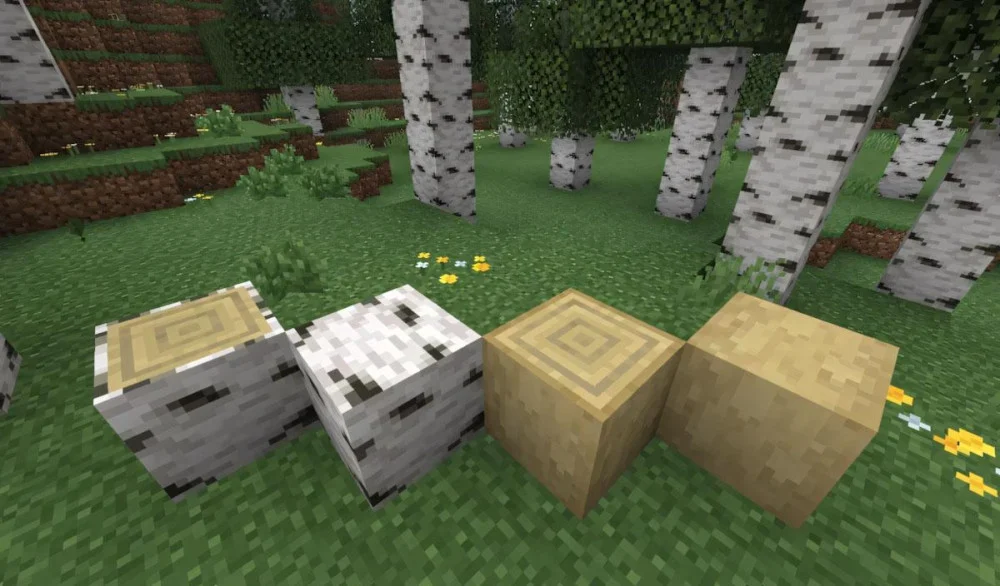 Gỗ bạch dương Minecraft nội thất sáng màu hiện đại