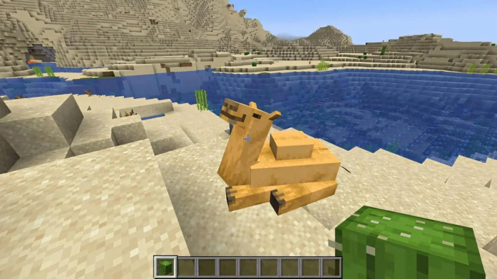 Minecraft lạc đà Camel ngồi nghỉ