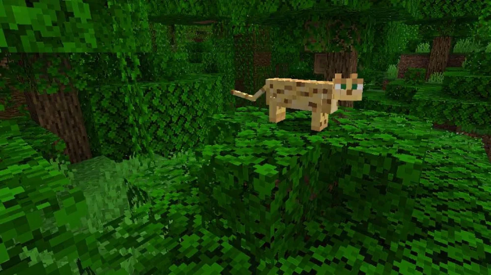 Ocelot mob hiền rừng rậm thuần hóa bằng cá tuyết