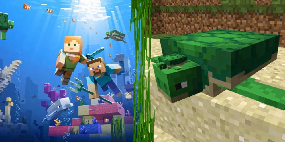 Minecraft rùa biển theo đàn, ăn cỏ biển dẫn dụ