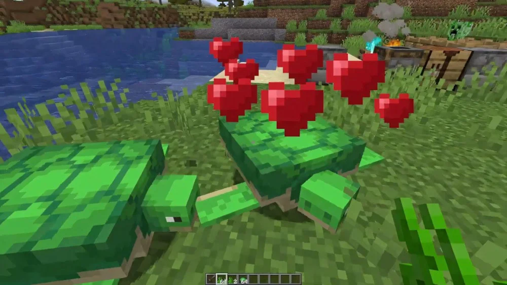 Minecraft rùa ăn cỏ biển sinh sản