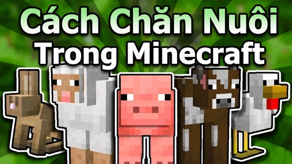 Cách Chăn Nuôi Trong Minecraft  | Xây Chuồng Trại, Dụ Động Vật, Nhân Giống…