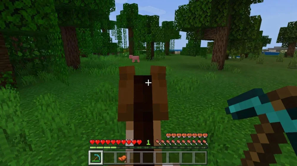 Cách Cưỡi Ngựa Trong Minecraft  | Lên Xuống Ngựa Đơn Giản Cho Newbie