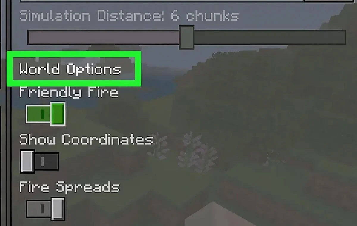 Vào mục World Options