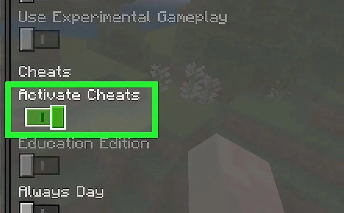 Mở Activate Cheats