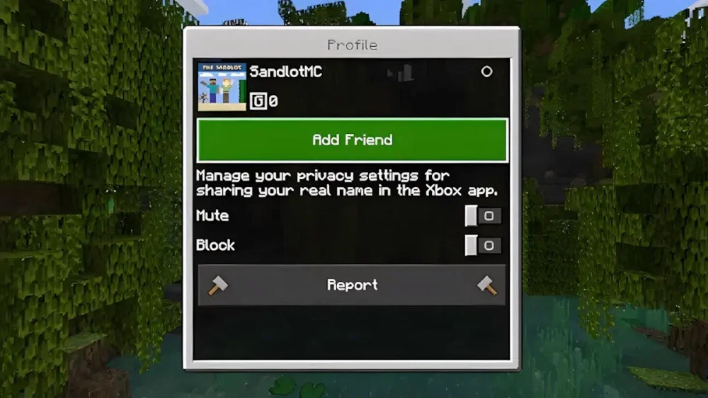 Play > Friends > Add Friend