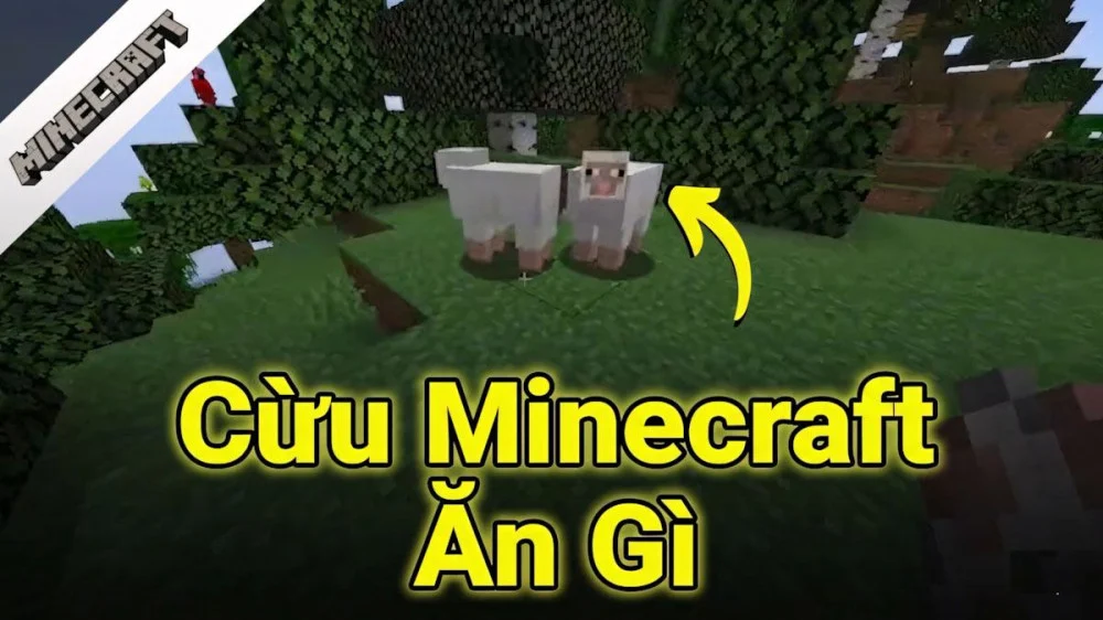 Cừu Trong Minecraft Ăn Gì ૮꒰˶ ⁠❛   ˕ ⁠❛˶꒱ა | Thuần Hoá, Nuôi Dưỡng và Lai Giống Cực Dễ