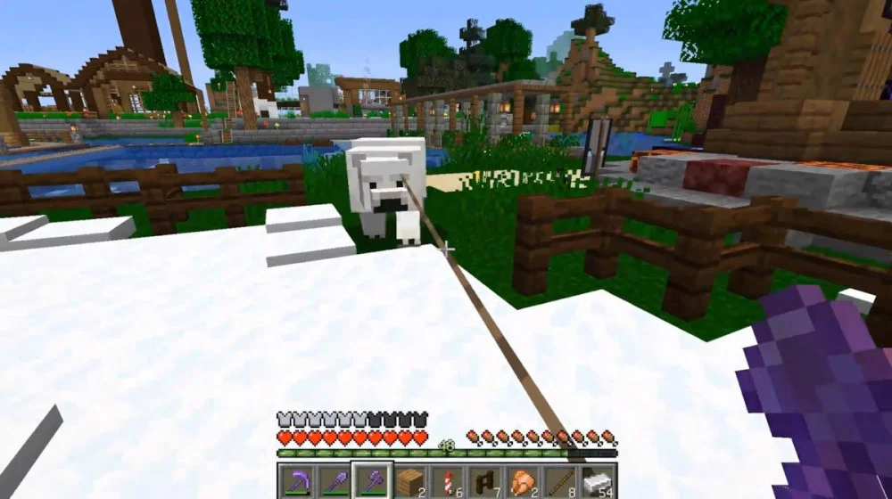 Polar Bear sống băng giá, Igloo có tầng hầm bí mật