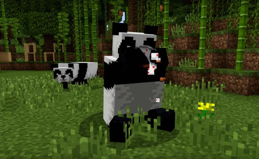 Sinh vật Panda cư ngụ tại quần xã rừng tre sở hữu cơ chế di truyền độc
