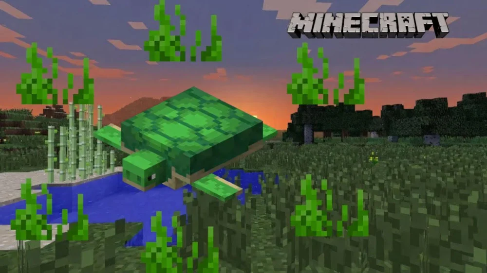 Minecraft rùa biển hiền lành xuất hiện ven biển sa mạc