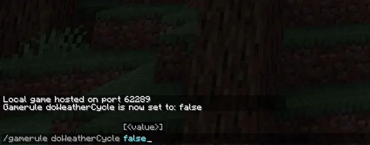 Nhập đúng câu lệnh /gamerule doWeatherCycle false