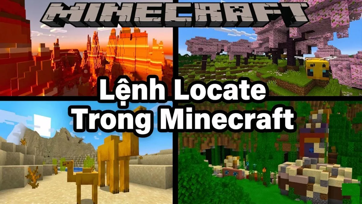 Lệnh Locate Trong Minecraft 📍𖦏| Locate Biome Tìm Công Trình Cực Dễ