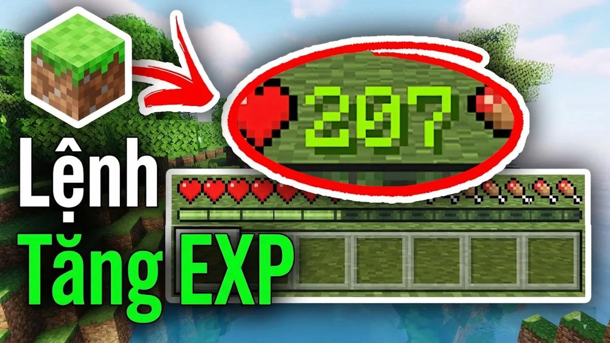 Lệnh Tăng EXP Trong Minecraft PC🆙❤️| Nên Dùng /XP Add hay /XP Set?