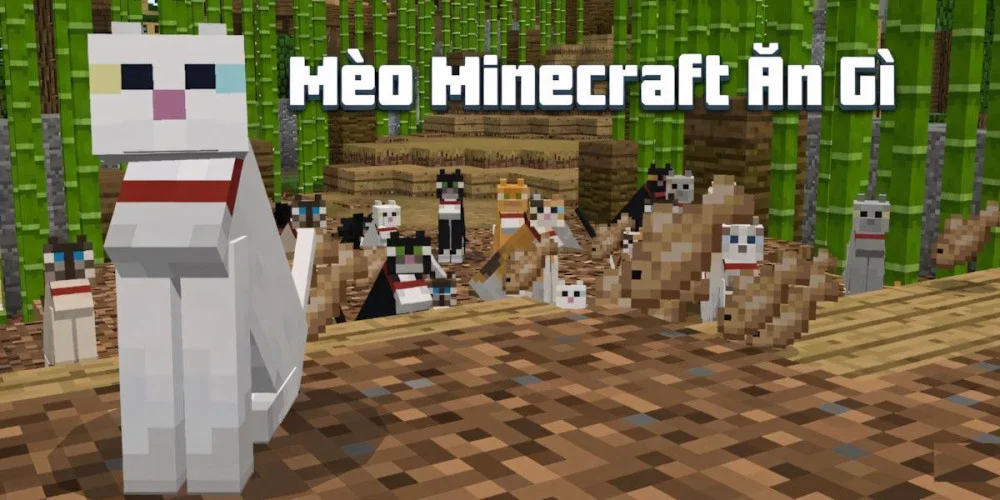 Mèo Trong Minecraft Ăn Gì | Tìm Ở Đâu, Cách Thuần Hóa, Nhân Giống…  