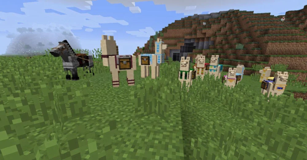 Bí kíp nuôi Llama Minecraft