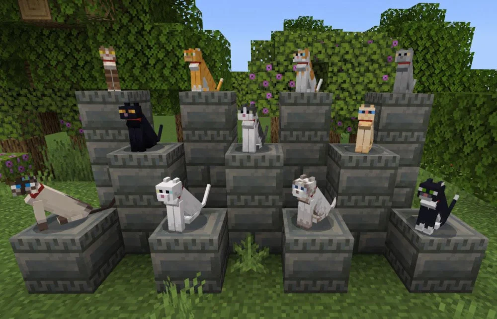 Bí kíp thuần hóa mèo giúp xua đuổi Creeper và Phantom