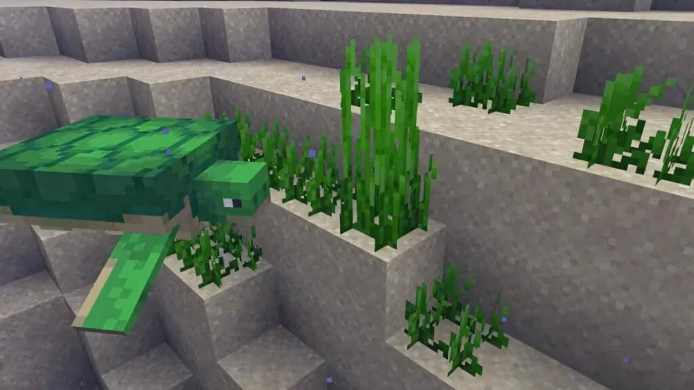 Minecraft rùa ăn cỏ biển dụ, nhân giống, lớn nhanh