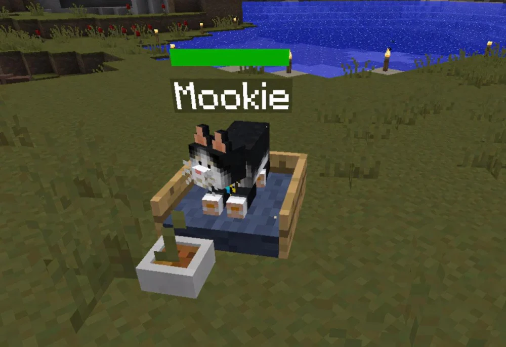 Minecraft thuần mèo bằng cá tuyết và cá hồi sống