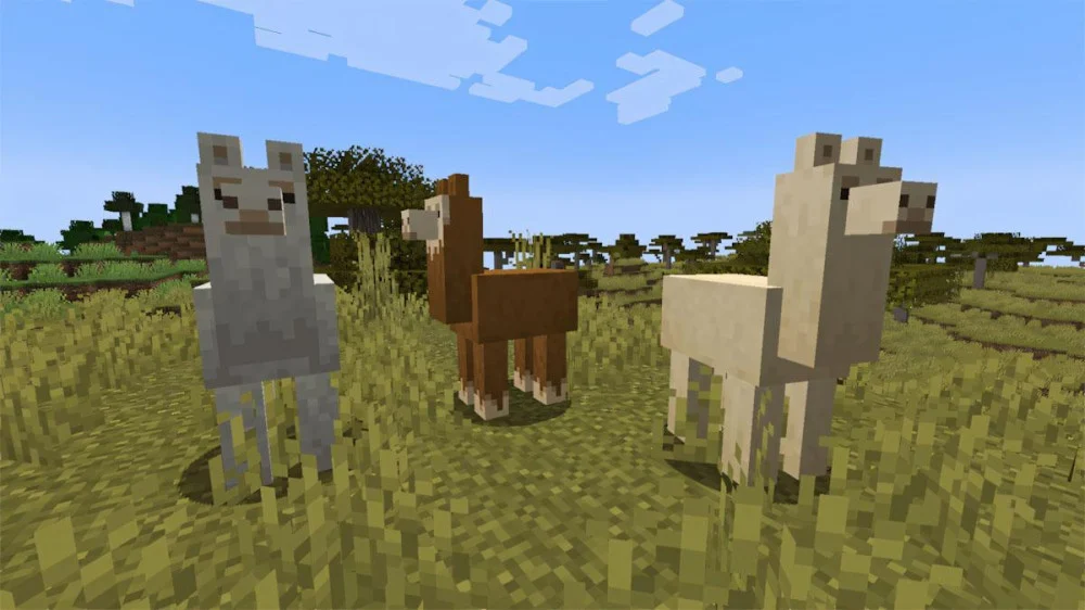 Thông số quan trọng của Llama Minecraft