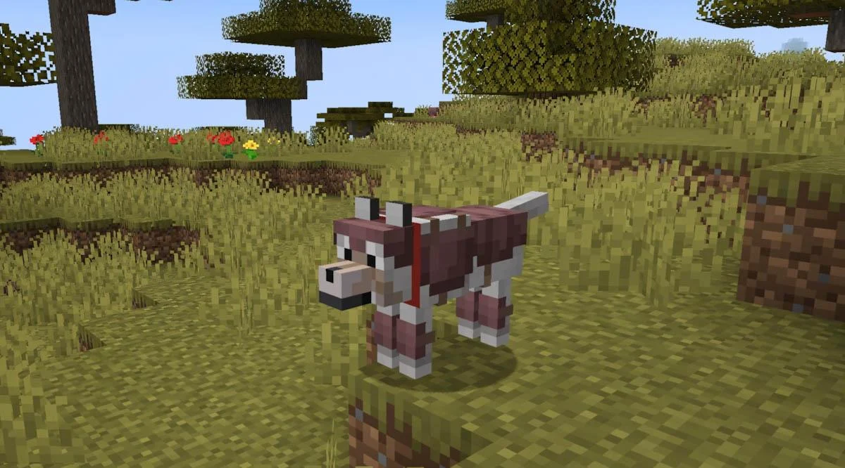 Minecraft Armadillo giúp chế tạo giáp bảo vệ sói hiệu quả hơn