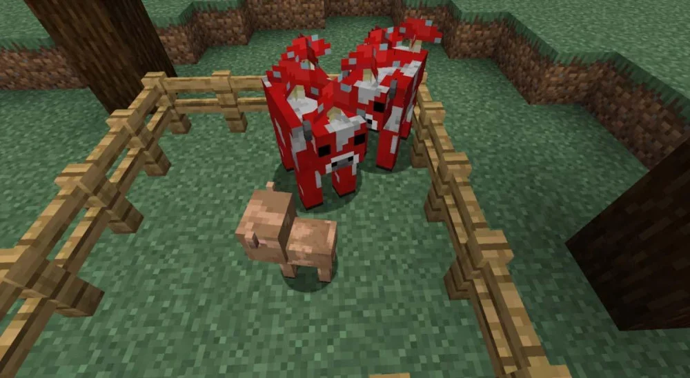 Dùng bát trên Mooshroom chỉ tốn một bát thay vì cả chồng như trước