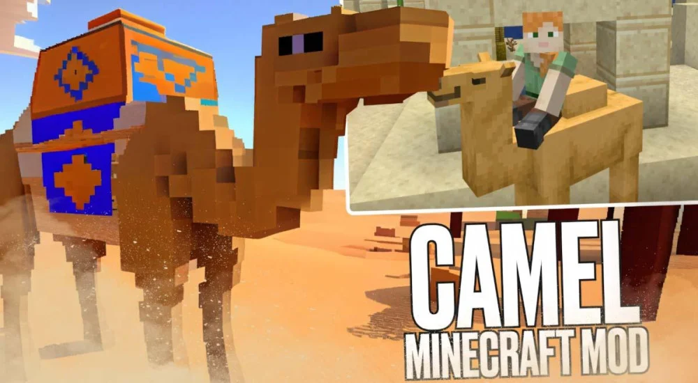 Camel chở hai người và hỗ trợ vượt địa hình sa mạc dễ dàng hơn.